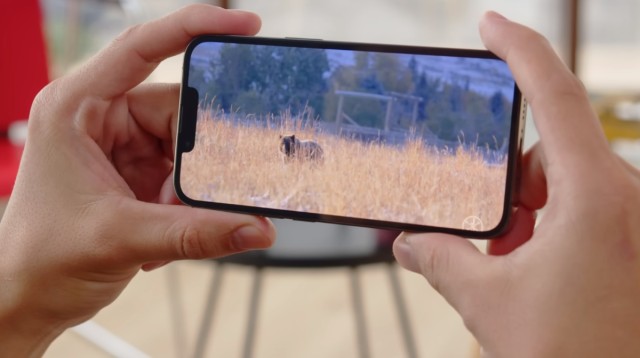 Даже лучше, чем iPhone 14 Pro: почему я выбрала iPhone 13 Pro в 2023 году