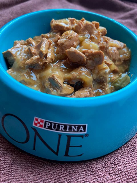 Влажный корм Purina One Indoor Formula – кот будет есть с удовольствием, порадует энергичностью, нежностью и отличным самочувствием