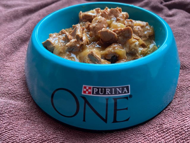 Влажный корм Purina One Indoor Formula – кот будет есть с удовольствием, порадует энергичностью, нежностью и отличным самочувствием