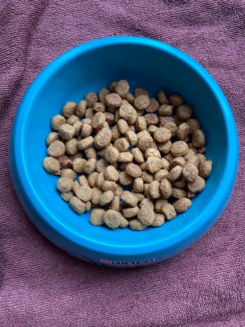 Purina One Indoor Formula Cat – корм для блеска шерсти, энергии и здоровья вашего питомца