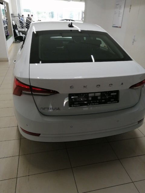 Честный отзыв владельца о новой Skoda Octavia A8 2021 года выпуска