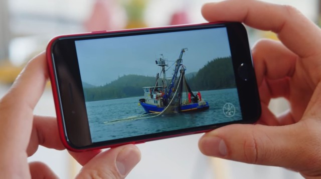 Устаревший ещё до выхода iPhone SE 2022
