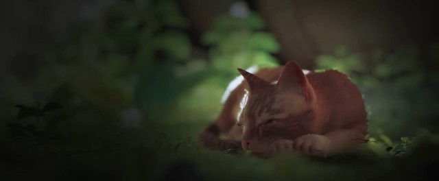 Все залипают в Stray или почему вам стоит купить или хотя бы скачать главную игру 2022 года