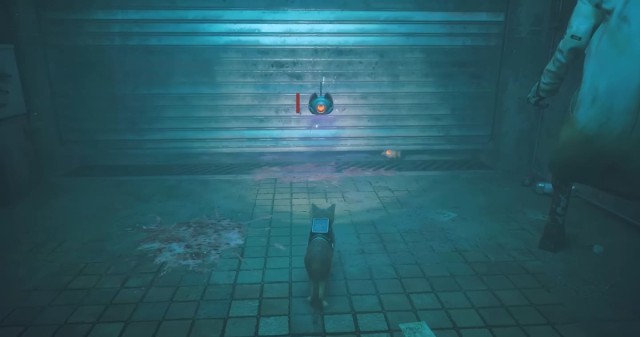 Все залипают в Stray или почему вам стоит купить или хотя бы скачать главную игру 2022 года
