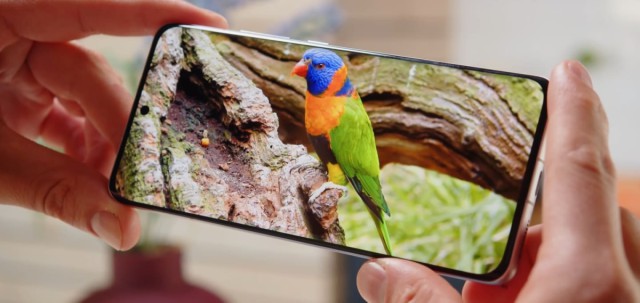 Младший флагман или лучший смартфон в линейке: отзыв на Xiaomi 12X